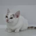 Photo of Zoe 10863