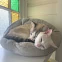 Photo of Archer And Alaska