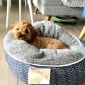 Photo of Oliver