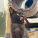 Photo of Addie