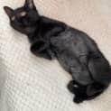Photo of Addie