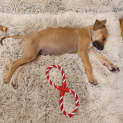 Photo of Vinny