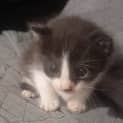Photo of Caleb