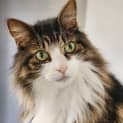 Photo of Stampy