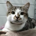 Photo of Jafer