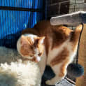 Photo of Mario