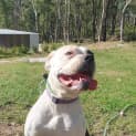 Photo of Milla