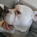 Photo of Milla