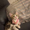 Photo of Abby
