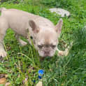 Photo of Haylee