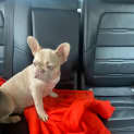 Photo of Haylee