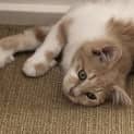 Photo of Nellie