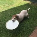 Photo of Charlie