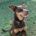 Photo of Summer(d1872)*Adopted*