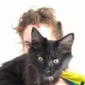 Photo of Ferdie (Located In Ivanhoe)