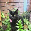 Photo of Senora