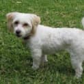 Photo of Bessie