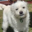 Photo of Charlie