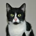 Photo of Annie