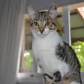 Photo of Grey Girl