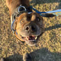 Photo of Vv