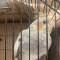 Photo of Happy