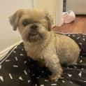 Photo of Rosco