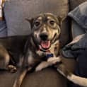Photo of Roo