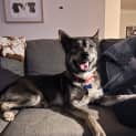 Photo of Roo