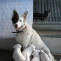Photo of Crystal