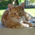 Photo of Raj