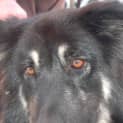 Photo of Lola   On Trial