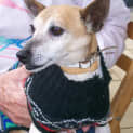 Photo of Speck