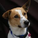 Photo of Zipper