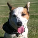 Photo of Lucy