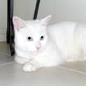 Photo of Storm