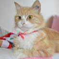 Photo of Gem