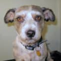 Photo of Morgan (On Trial)