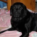 Photo of Errol "Flynn" Available Now!