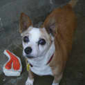 Photo of Mitzi