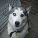 Photo of Keesha