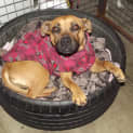 Photo of Zara