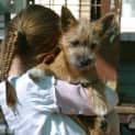 Photo of Saskia   Adoption Pending