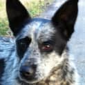 Photo of Jenny