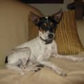 Photo of Bingo