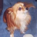 Photo of Sophie