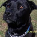 Photo of Jake