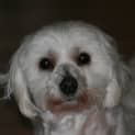 Photo of Faith