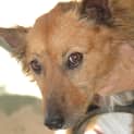 Photo of Sweetie On Trial