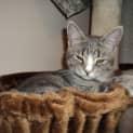 Photo of Minka